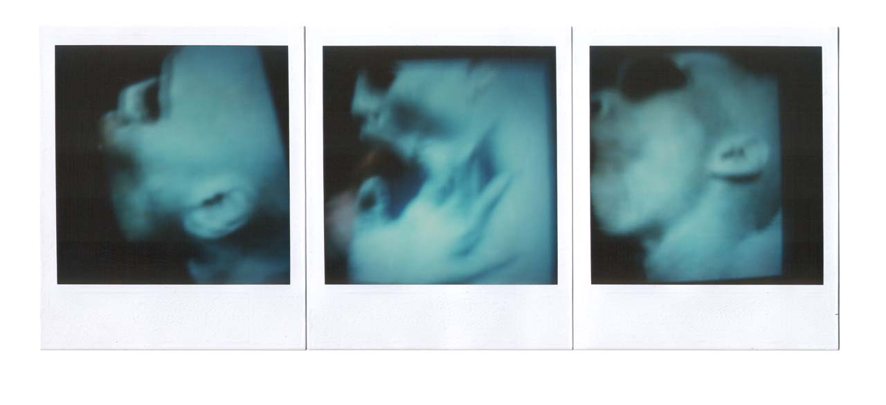 André Werner, skin deep, polaroid SX70 tryptich, ca1988.